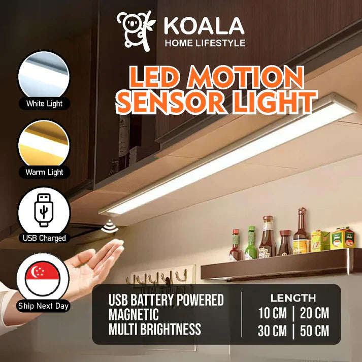 Motion sensor light
